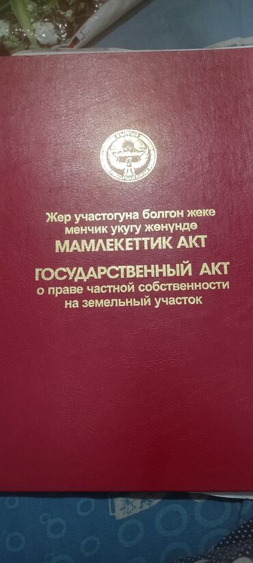 айдо жер сатылат: 11 соток, Бизнес үчүн, Кызыл китеп, Техпаспорт