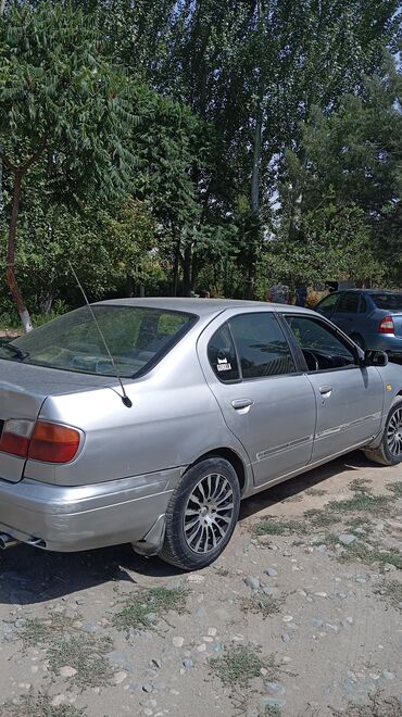 приматок прямоток: Nissan Primera: 1999 г., 1.8 л, Механика, Бензин, Седан