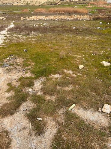 Torpaq sahələrinin satışı: 7 sot, Tikinti, Makler, Kupça (Çıxarış) — 2