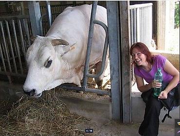 Зоотовары: 🐎 Стимулятор набора веса со стволовыми клетками костный жир со — 1