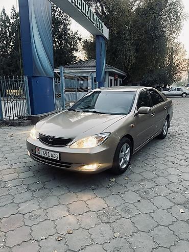 авто телешка: Toyota Camry: 2004 г., 3 л, Автомат, Бензин, Седан — 2