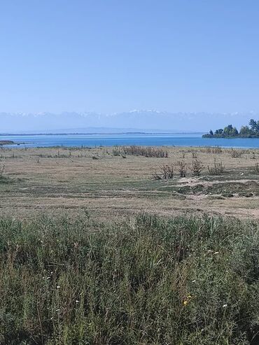 красный речка дом: 37 соток, Айыл чарба үчүн, Сатып алуу-сатуу келишими