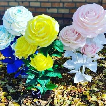 комнатные розы: Цветы Светильник подарки на заказ примаю. Кыргызстан баардык аймагына