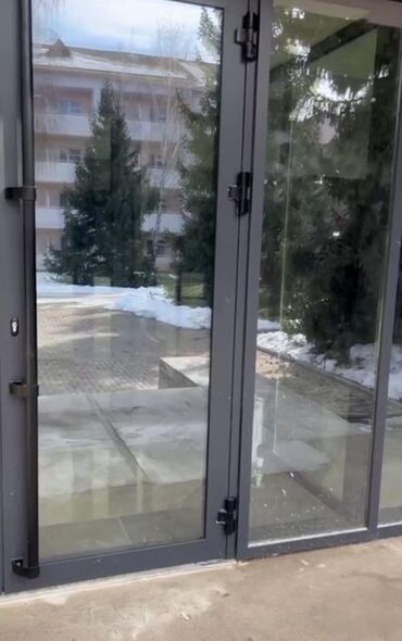 лестница на крышу: Алюминиевая входная дверь со стеклопакетами - Профиль: окрашенный