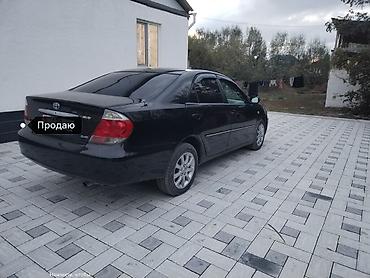 Toyota: Toyota Camry: 2005 г., 2.4 л, Автомат, Бензин, Седан — 3