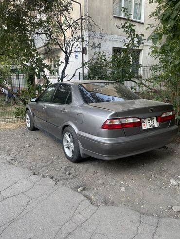 хонда аккорд торнео кузов: Honda Torneo: 2001 г., 1.8 л, Автомат, Газ, Седан