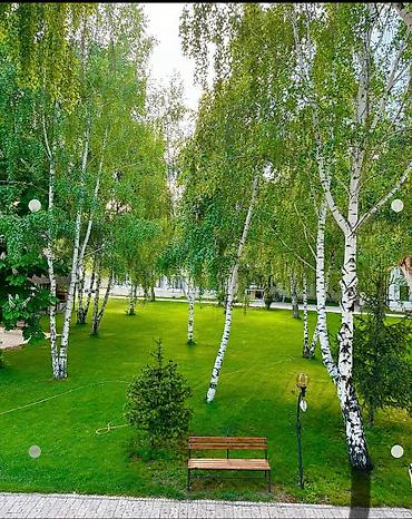 Батирлерди сатуу: 2 бөлмө, 52 м², Жеке план, 3 кабат — 7