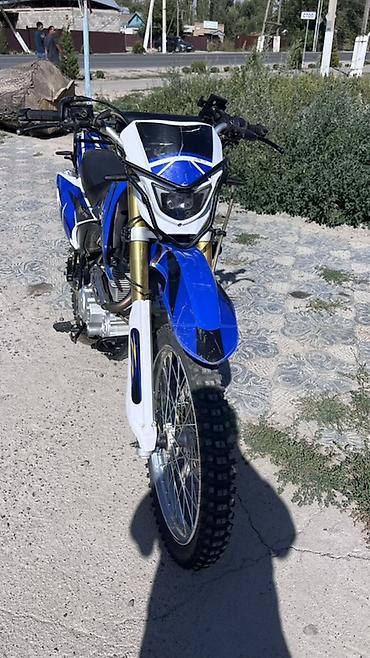 lx 570 2014: Эндуро 250 куб. см, Бензин, Взрослый, Новый — 3