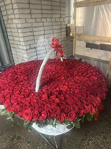 бесконечные розы: Огромная корзина из красных роз - Состав: сотни свежих красных роз — 1