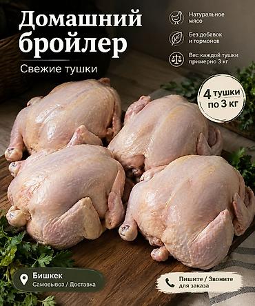 аквариумы в бишкеке: Домашний бройлер — свежие тушки - Натуральное мясо - Без добавок и — 1