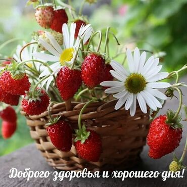 электрическая роликовая пилка: Продаётся кух, вытежка новая Цена 4500с