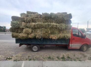 дробилка корма: Клевер +трава доставка