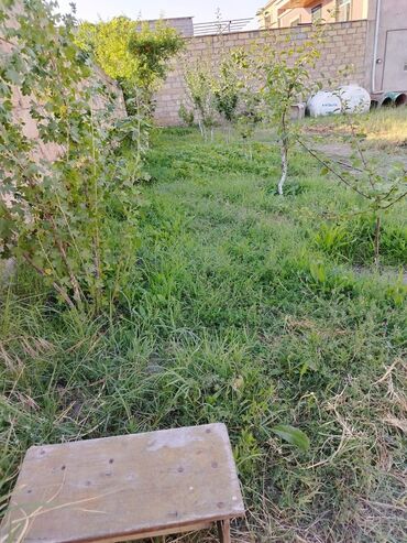 Torpaq sahələrinin satışı: 5 sot, Tikinti, Mülkiyyətçi, Bələdiyyə -da lalafo.az — 7 Torpaq sahələrinin satışı: 5 sot, Tikinti, Mülkiyyətçi, Bələdiyyə — 7