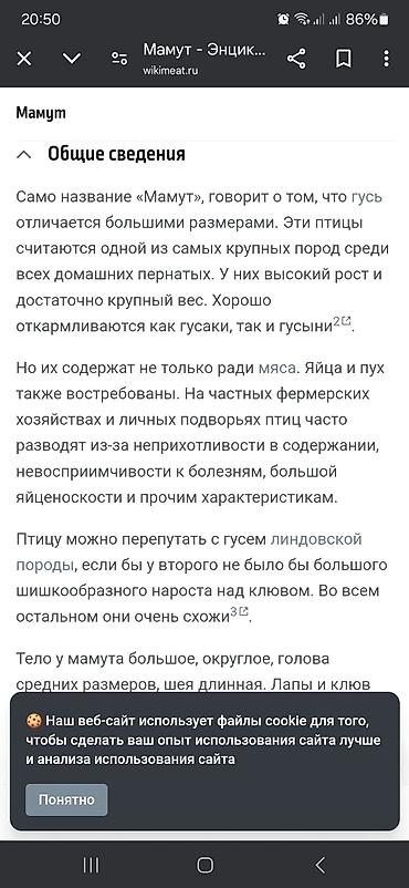 Птицы: Суточные гусята тяжёлой линии Мамутов,вывод каждую неделю,родительская — 12