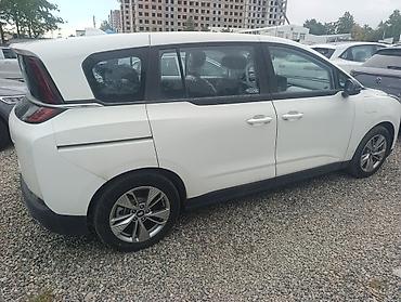потолочные ручки: LDV : 2024 г., Автомат, Электромобиль, Минивэн — 4