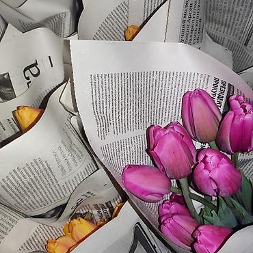 Букеты из живых цветов: Открыта бронь на тюльпаны оптом и розницу 2026 года к 8 марта — 9