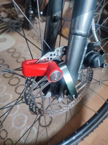 Şəhər velosipedləri: İşlənmiş Şəhər velosipedi Bulls, 28", sürətlərin sayı: 16, Ünvandan götürmə -da lalafo.az — 9 Şəhər velosipedləri: İşlənmiş Şəhər velosipedi Bulls, 28", sürətlərin sayı: 16, Ünvandan götürmə — 9