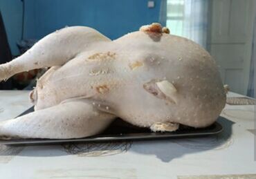 сколько стоит 1 кг домашних пельменей: Здравствуйте продаю мясо индейки домашние 500 сом за 1 кг