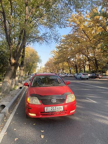 Toyota: Toyota Corolla: 2003 г., 2 л, Механика, Бензин, Универсал — 12