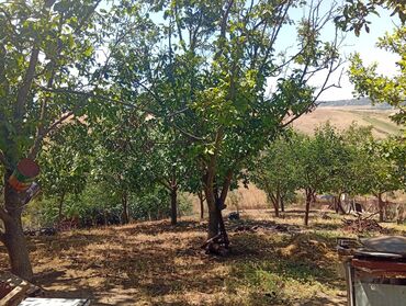 Həyət evləri və villaların satışı: 4 otaqlı, 80 kv. m, Kredit yoxdur, Orta təmir — 17