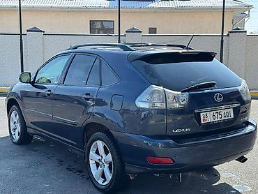 Lexus: Lexus RX: 2004 г., 3.3 л, Автомат, Бензин, Кроссовер — 5