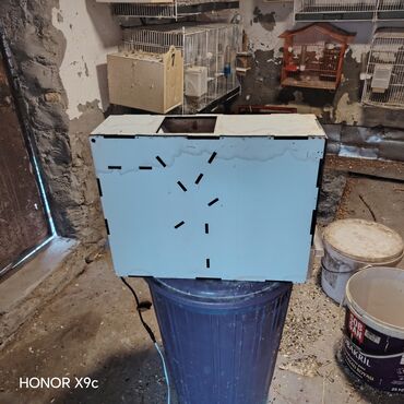 Tutuquşları: Hazir Ferma tecili. Satilir. unvan Sumqayit Yem temizleyen aparat fofo — 10