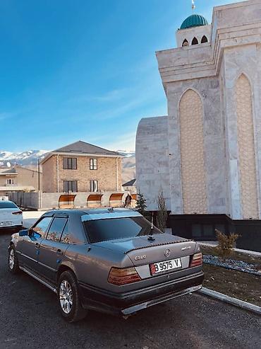 Mercedes-Benz: Mercedes-Benz W124: 1988 г., 3.2 л, Механика, Бензин, Седан — 3