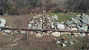 Спил деревьев, заготовка дров: Пилю деревья цена индивидуально! Пилю дровабревна 1500 - с/куб — 8