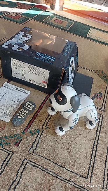 Игрушки: Игрушки.Интерактивная собачка на пульту в отличном состоянии цена 1500 — 2