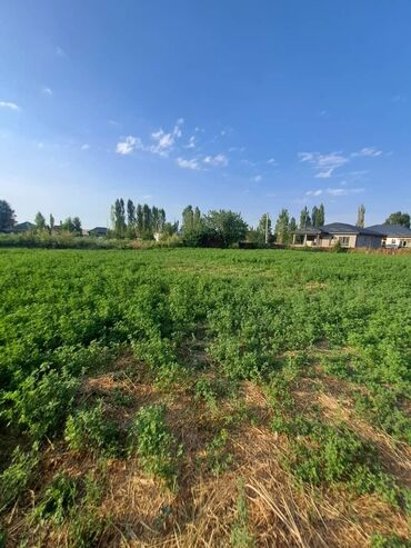дома в красной речке: Времянка, 1 кв. м, 1 бөлмө, Кыймылсыз мүлк агенттиги