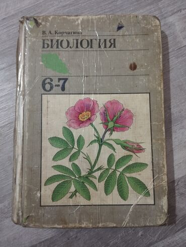 биология 9 класс ахматова: Биология 6-7 класс Автор: В.А. Корчагина Состояние: Нормально