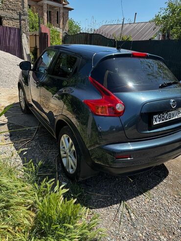 Nissan: Nissan Juke: 2011 г., 1.6 л, Автомат, Бензин, Внедорожник