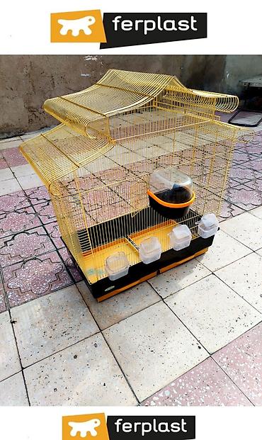 akvarium az: Qızılı rəngdə quş qəfəsi FERPLAST FİRMASI / ITALIA BRENDI - Dekorativ — 4