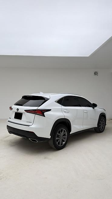 Lexus: Lexus NX: 2021 г., 2 л, Вариатор, Бензин, Кроссовер — 4