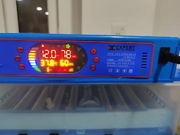 Kənd təssərüfatı avadanlığı: Inkubator inqibator inkibator inqubator incubator Ən Yeni Expert model — 6