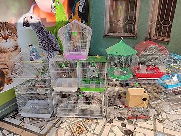 Зоотовары: Клетки для птиц и грызунов! — 20