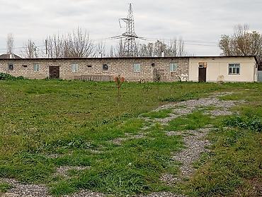 daşınmaz emlak: Ferma 60 sot sahəsində yerləşir. Qaz,su,işiq daimidir. Şəxsi artezani — 1