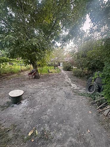 брони: Продаётся ПОЛДОМА НОВО-ПОКРОВКА участок 14 соток в с. Ново- Покровка — 5