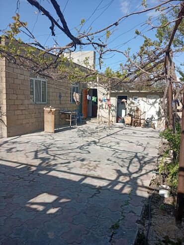 Həyət evləri və villaların satışı: Yaşma bağlarında 12 sot obyekt & həyət evi satılır . 12 sot boydan — 6