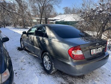 тайота v8: Toyota Camry: 2003 г., 2.4 л, Автомат, Бензин, Седан