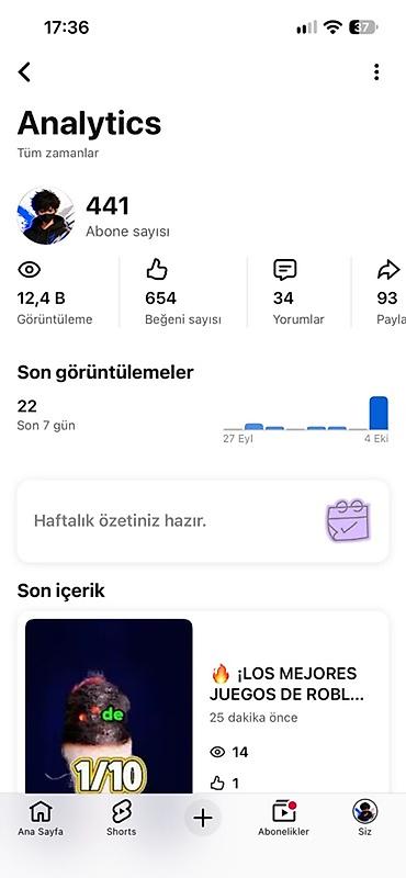 su filtirinin qurasdirilmasi: Xidmət: YouTube kanalının inkişafı və analitika idarəçiliyi Təsvir: - — 2