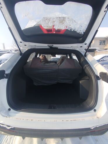 Changan: Changan X5 Plus: 2025 г., 1.5 л, Робот, Бензин, Кроссовер — 10