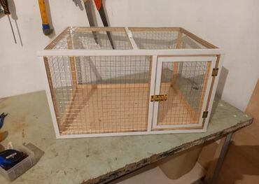 Qəfəslər: Dovşan,şinşila,bildirçin,cücə,xamyak,pişik,quş ve s kimi ev heyvanlari — 4