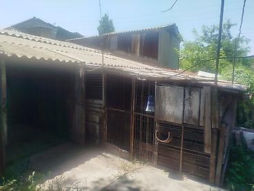 Кыймылсыз мүлк: Продаётся кирпичный дом в с. Алексеевка, ул. Фурманова, 8. Планировка — 4