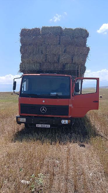 70 сом: Продажа тюков сена (прессованных прямоугольных кип). - Заготовка в — 2
