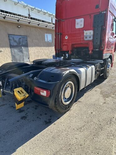 Тягачи: Тягач, DAF, 2012 г., Шторный — 5