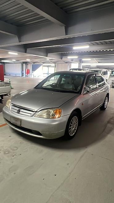 Амортизаторы, пневмобаллоны: Комплект амортизаторов Toyota Япония — 16