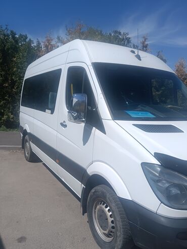 замок для спринтер: Mercedes-Benz Спринтер: 2009 г., 2.2 л, Автомат, Дизель, Бус