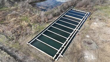 Torpaq sahələrinin satışı: 300 sot, Kənd təsərrüfatı, Mülkiyyətçi, Texniki pasport, Kupça (Çıxarış) — 14