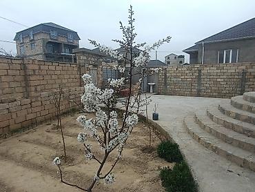 Həyət evləri və villalar: Hasarlı daş hasarlı həyətyanı sahəsi olan fərdi ev - Tam müstəqil — 6